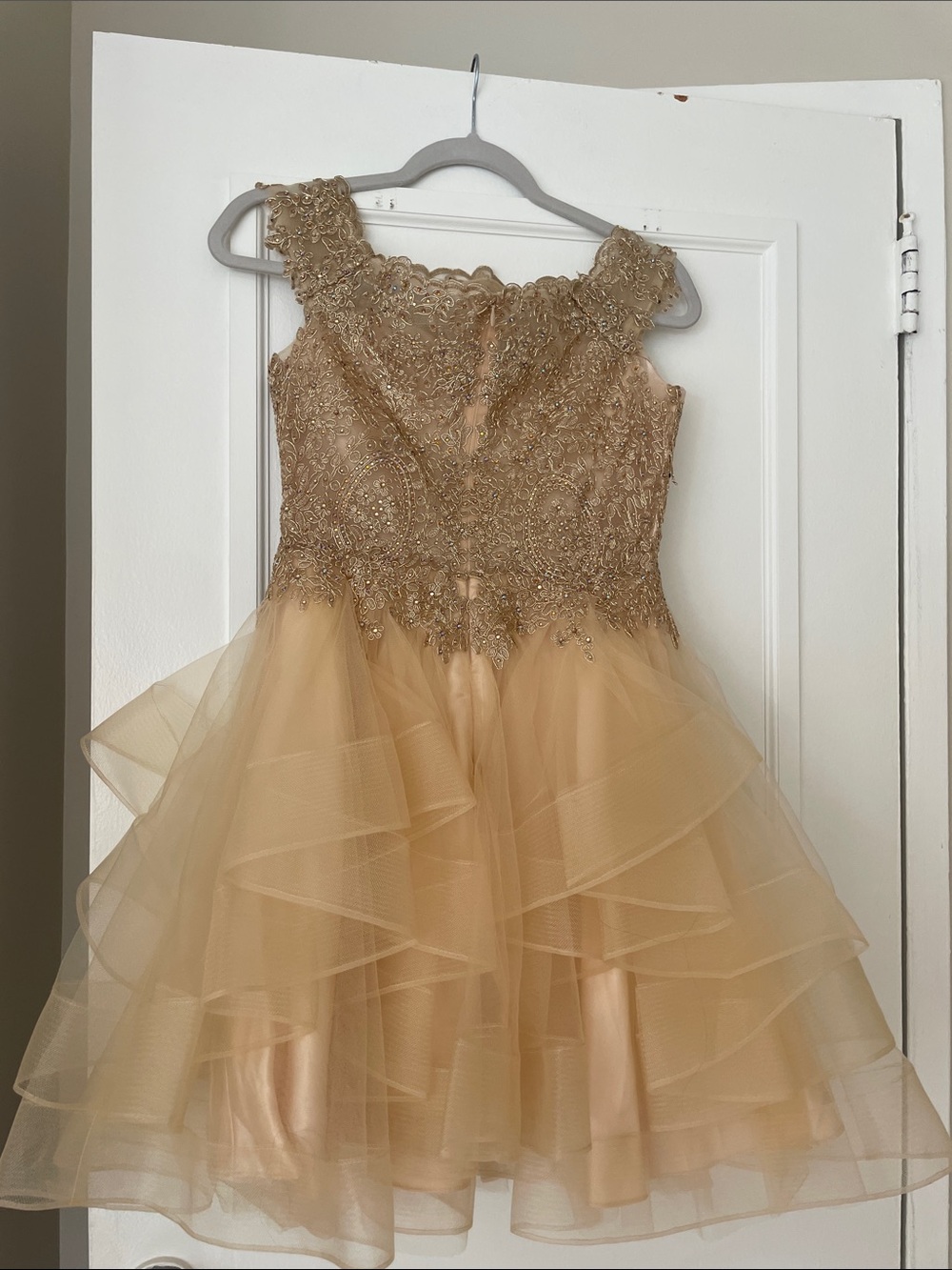 Tulle Ruffle Mini Dress in Brown Like New
